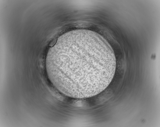 X0000093110755200710241242