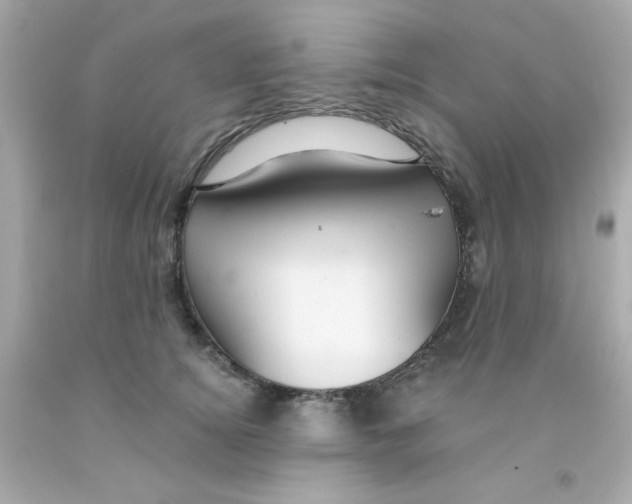 X0000093110756200710241242