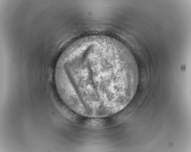 X0000093110758200710241242