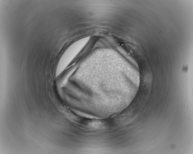 X0000093110759200710241242