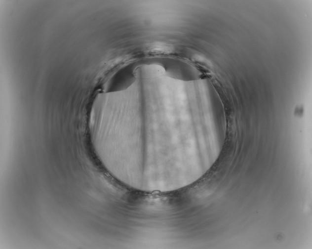 X0000093110760200710241242