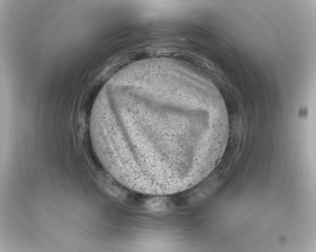 X0000093110761200710241242