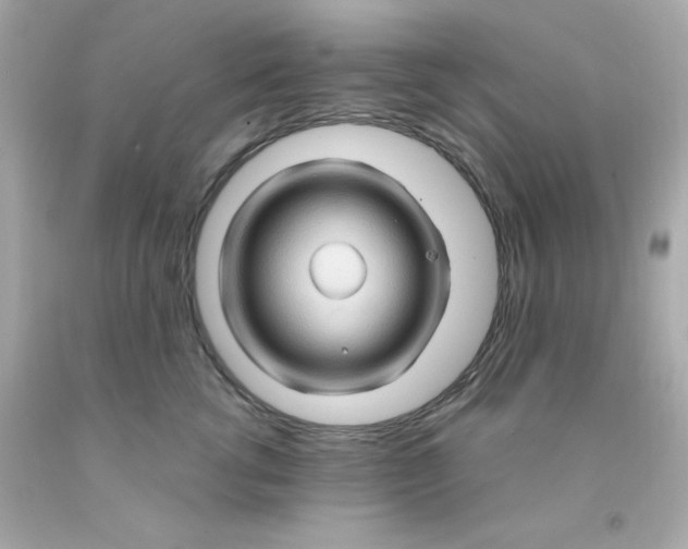 X0000093110762200710241242