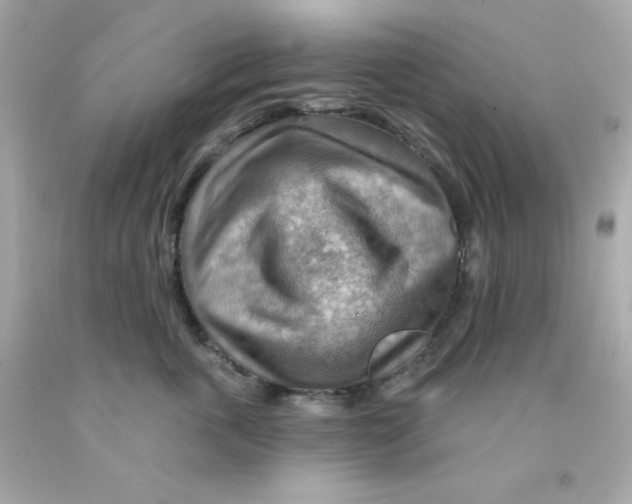 X0000093110763200710241242