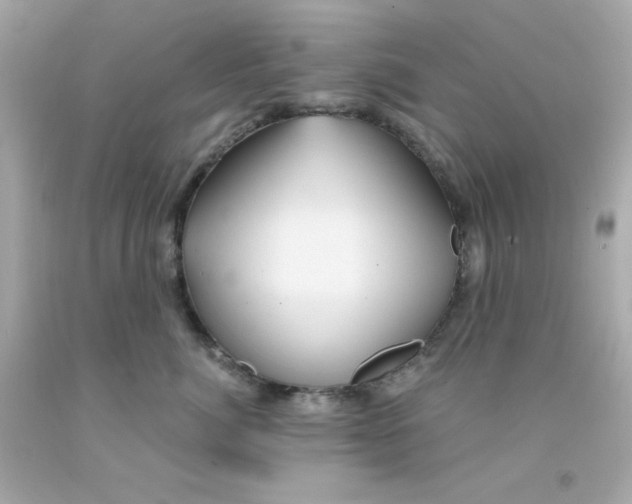 X0000093110764200710241242