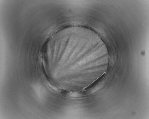 X0000093110766200710241242