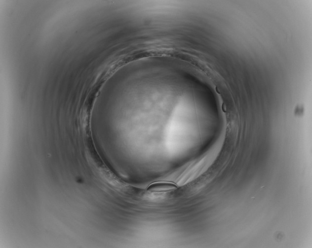 X0000093110767200710241242