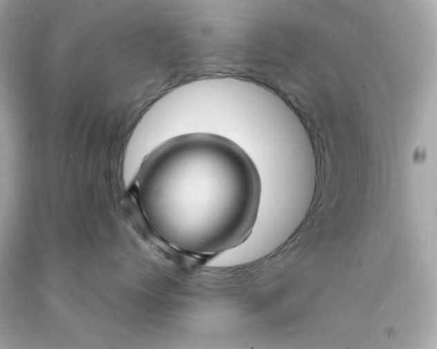 X0000093110768200710241242