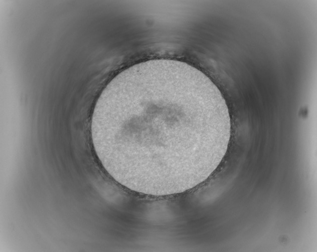 X0000093110769200710241241