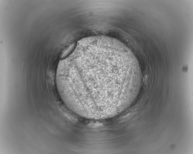 X0000093110772200710241241