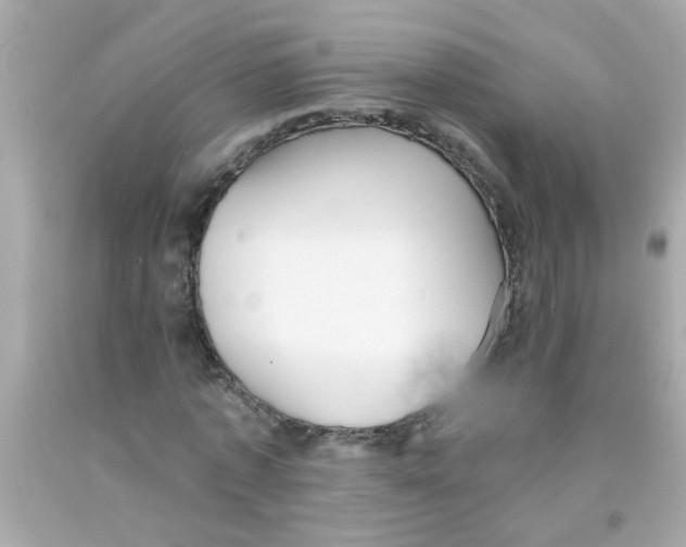 X0000093110773200710241241