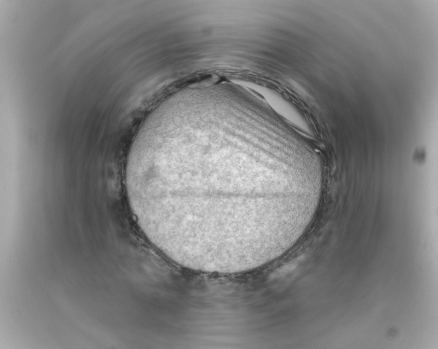 X0000093110774200710241241