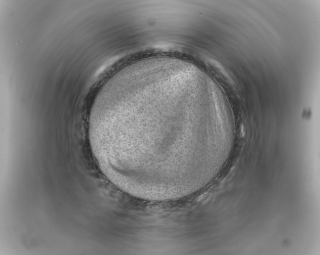 X0000093110776200710241241