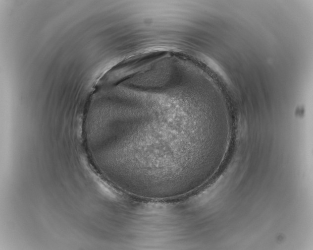 X0000093110777200710241241