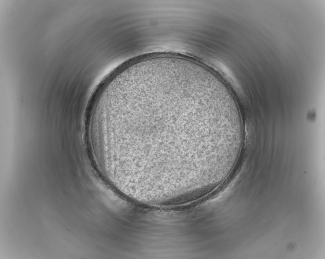 X0000093110780200710241241