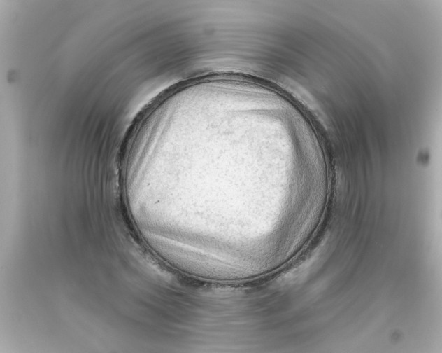 X0000093110782200710241241