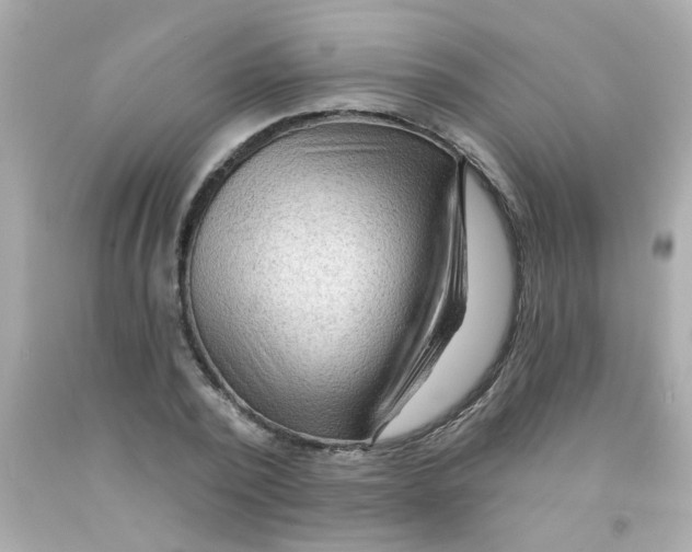 X0000093110784200710241241