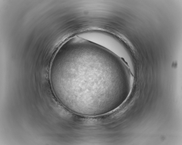 X0000093110785200710241241