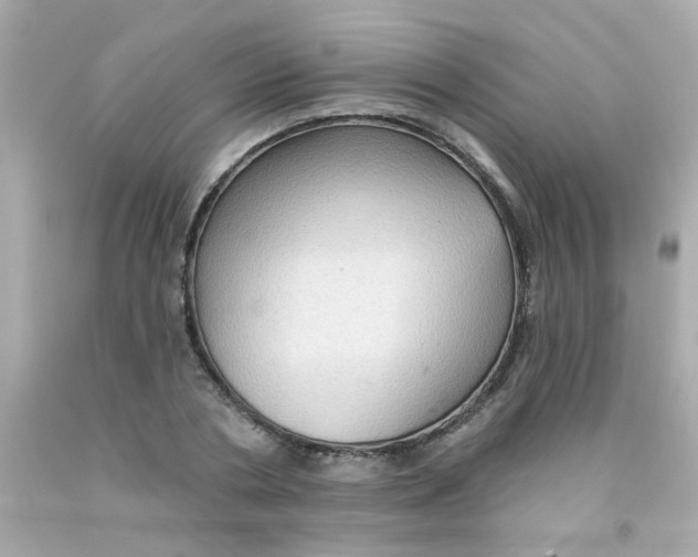 X0000093110786200710241241