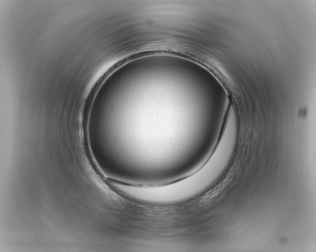 X0000093110788200710241241