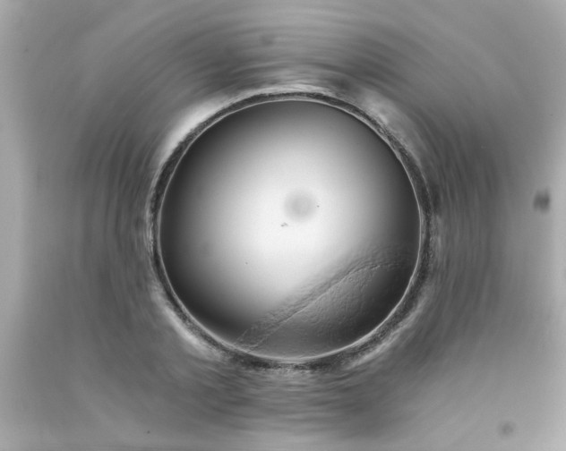 X0000093110789200710241241