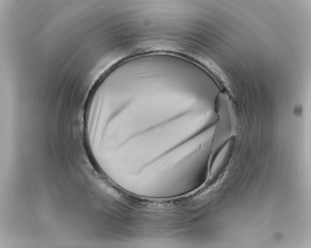 X0000093110790200710241241