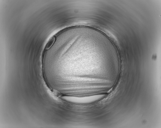 X0000093110792200710241241