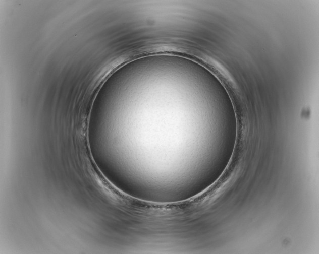 X0000093110793200710241241