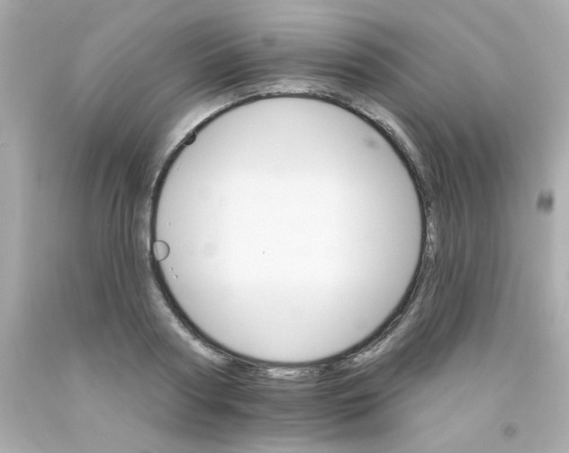 X0000093110794200710241241