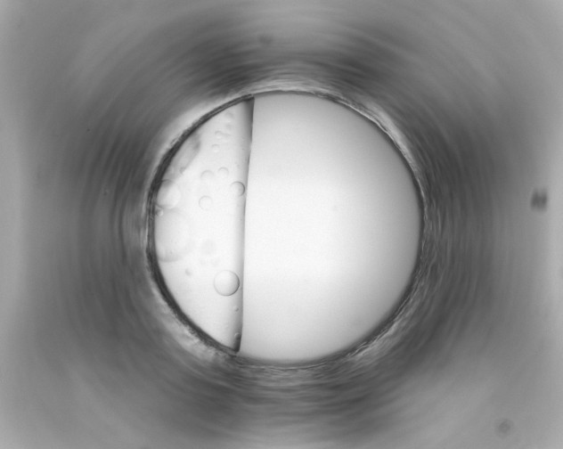 X0000093110795200710241241