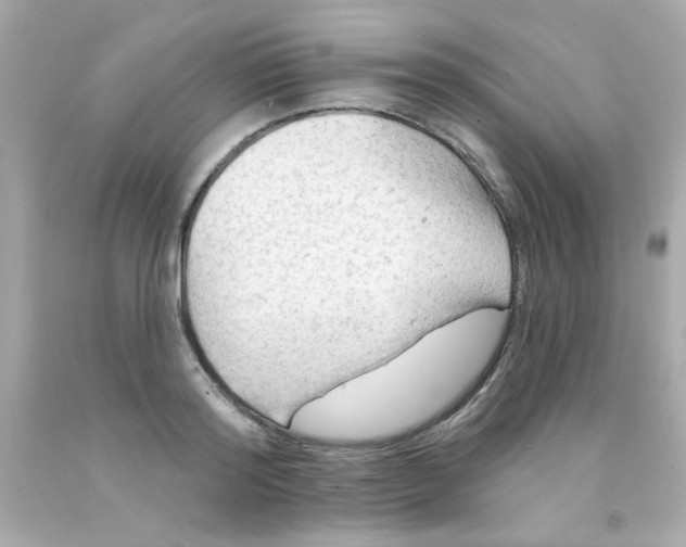 X0000093110796200710241241