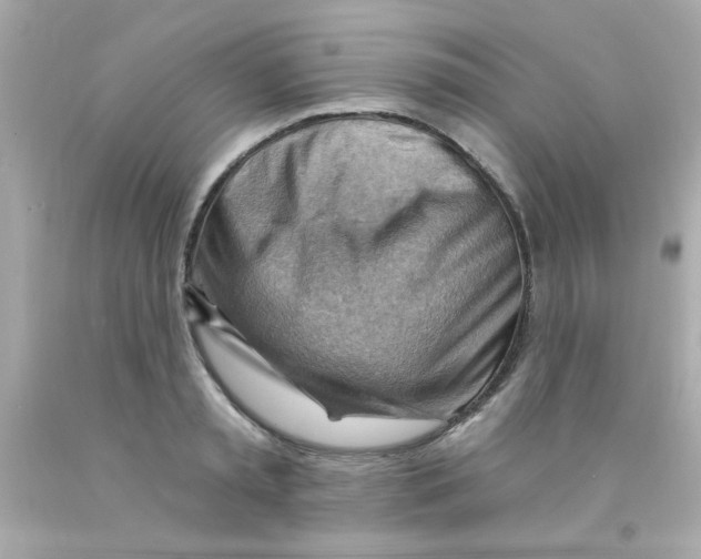 X0000093110797200710241241