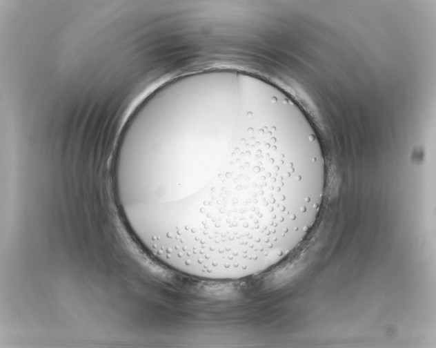 X0000093110798200710241241