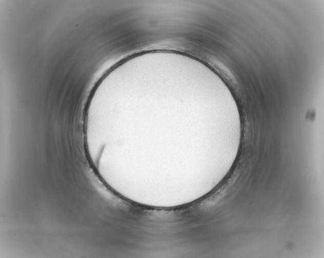 X0000093110800200710241241