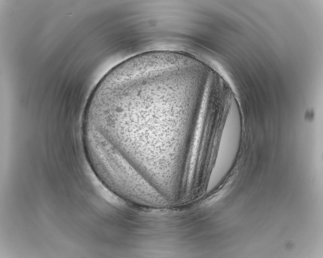 X0000093110803200710241241