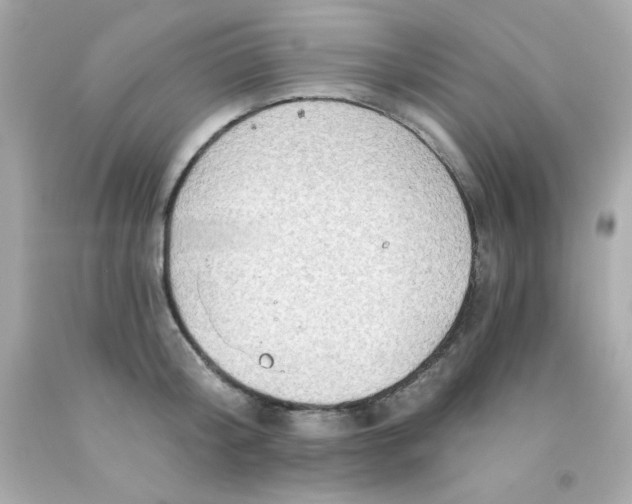 X0000093110804200710241241