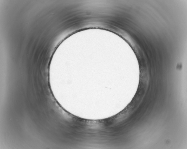 X0000093110807200710241241