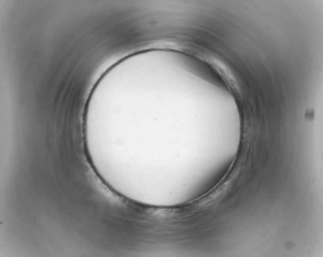 X0000093110808200710241241