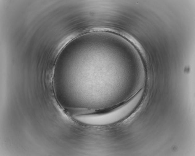 X0000093110809200710241241