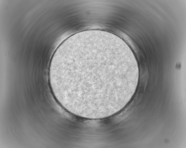 X0000093110810200710241241