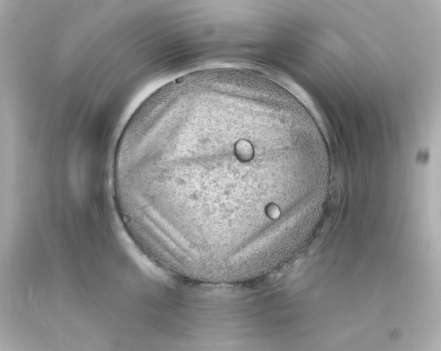 X0000093110811200710241241