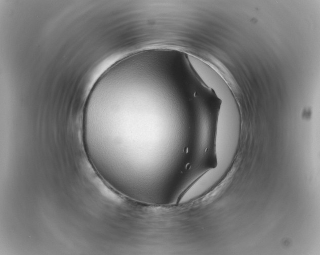 X0000093110812200710241241