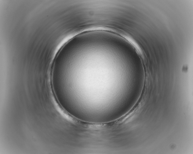 X0000093110813200710241241