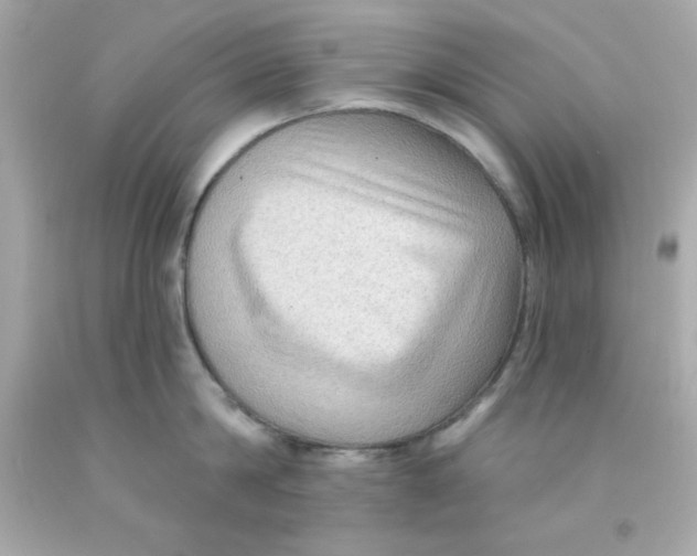 X0000093110814200710241241