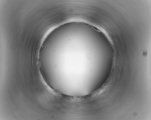 X0000093110815200710241241