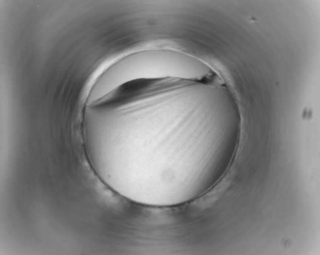 X0000093110816200710241241