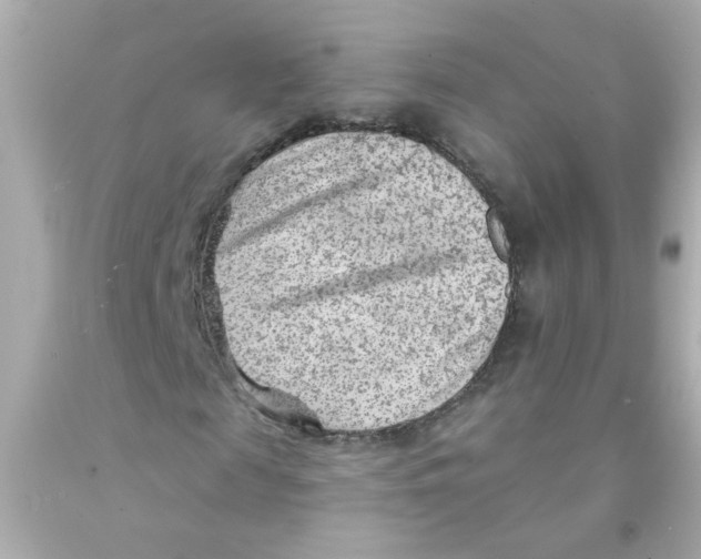 X0000093110817200710241240