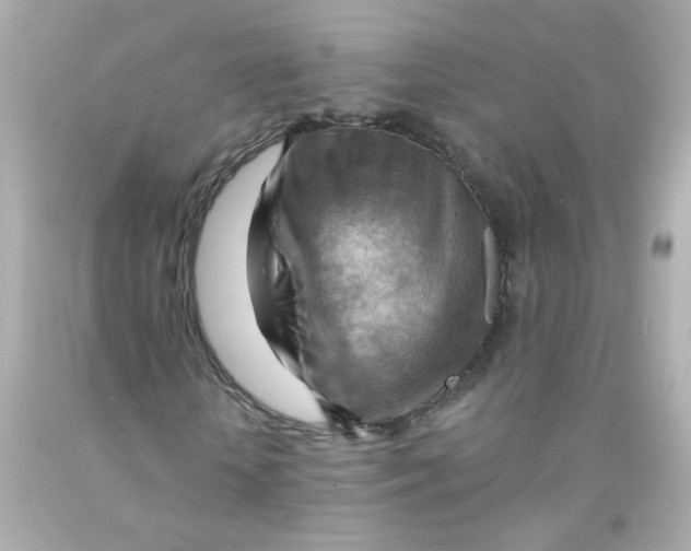 X0000093110818200710241240