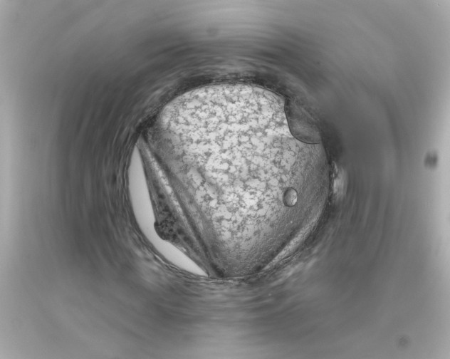 X0000093110819200710241240