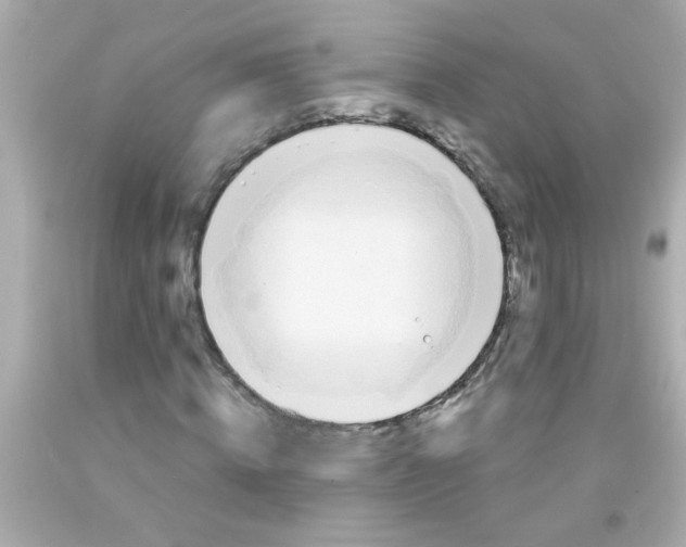 X0000093110820200710241240